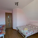 Jana